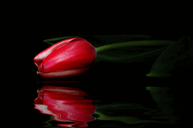 1 (187) (640x426, 883Kb)