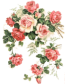 CR30r_LZvdI (133x170, 52Kb)